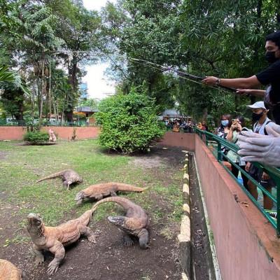 KBS Diserbu 88 Ribu Pengunjung Sepanjang Libur Lebaran 2024